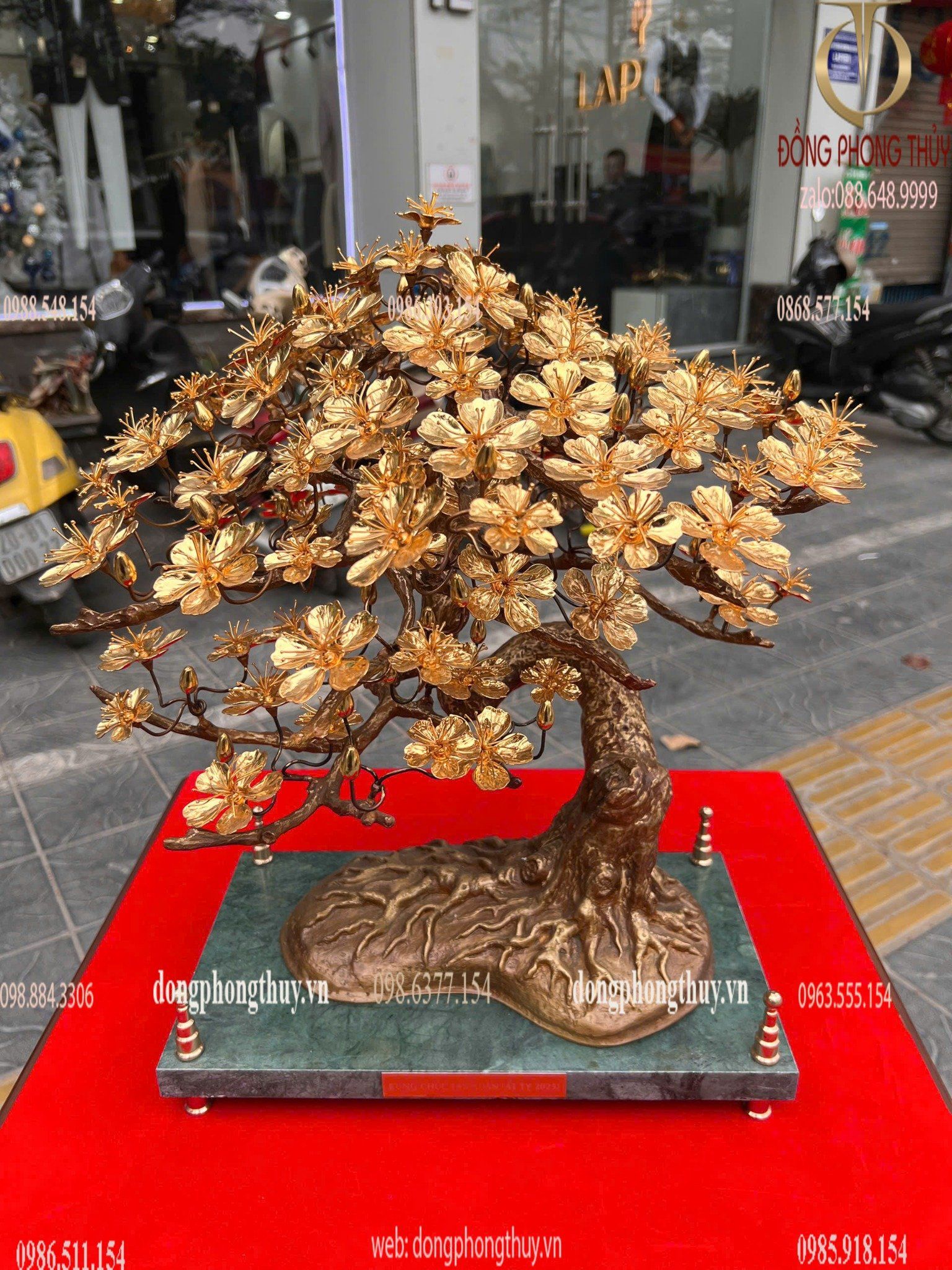 Hình ảnh sản phẩm