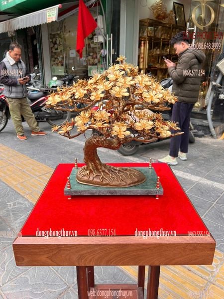 Cây mai vàng 24k Cao 46 ngang đế 35 rộng 20,5