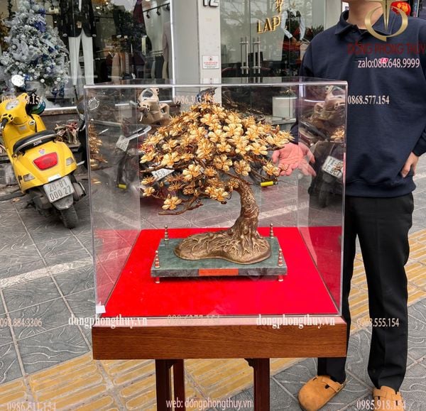 Cây mai vàng 24k Cao 46 ngang đế 35 rộng 20,5