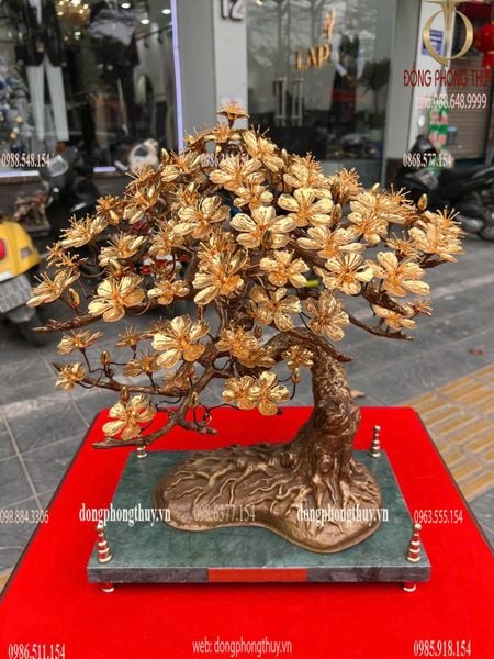 Cây mai vàng 24k Cao 46 ngang đế 35 rộng 20,5