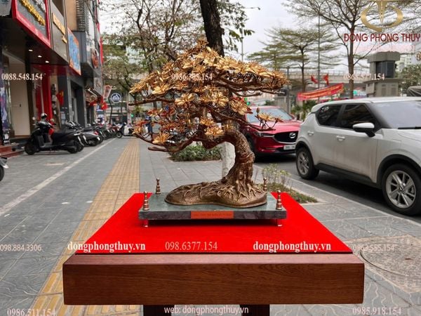Cây mai vàng 24k Cao 46 ngang đế 35 rộng 20,5