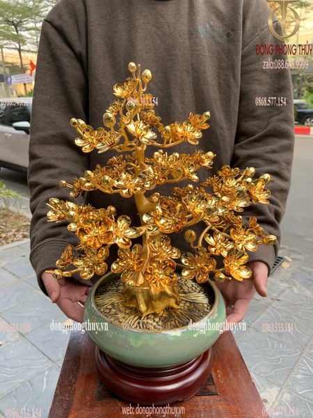 Quà tặng vip-quà tặng mạ vàng-Chậu mai mạ vàng 24k cao 45cm