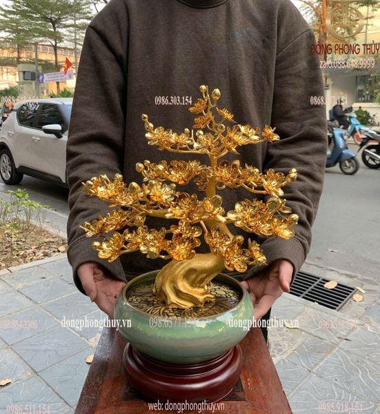 Quà tặng vip-quà tặng mạ vàng-Chậu mai mạ vàng 24k cao 45cm