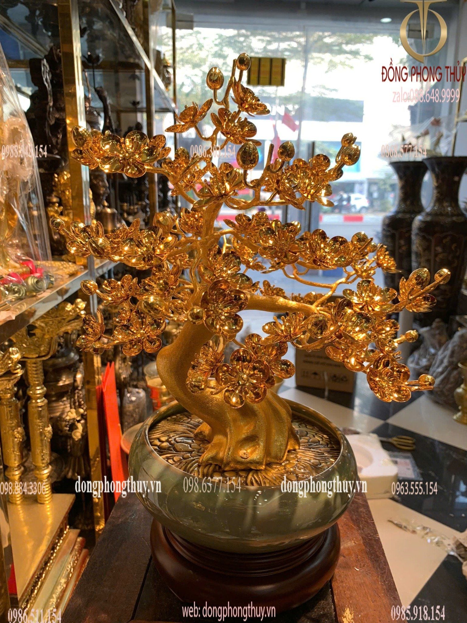 Hình ảnh sản phẩm