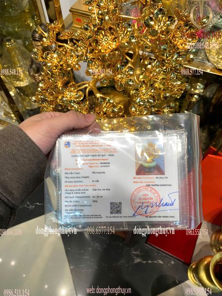 Quà tặng vip-quà tặng mạ vàng-Chậu mai mạ vàng 24k cao 45cm