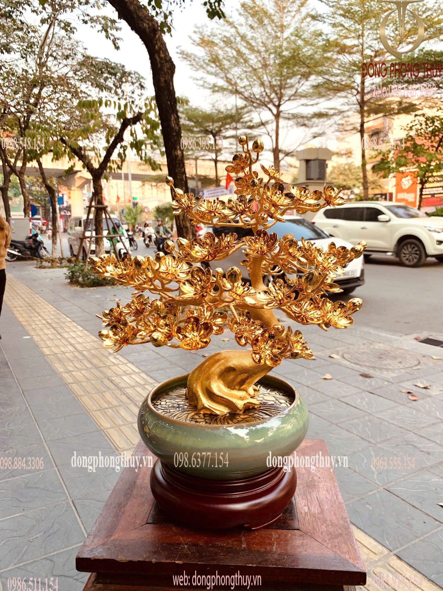 Hình ảnh sản phẩm