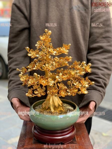 Quà tặng vip-quà tặng mạ vàng-Chậu mai mạ vàng 24k cao 45cm