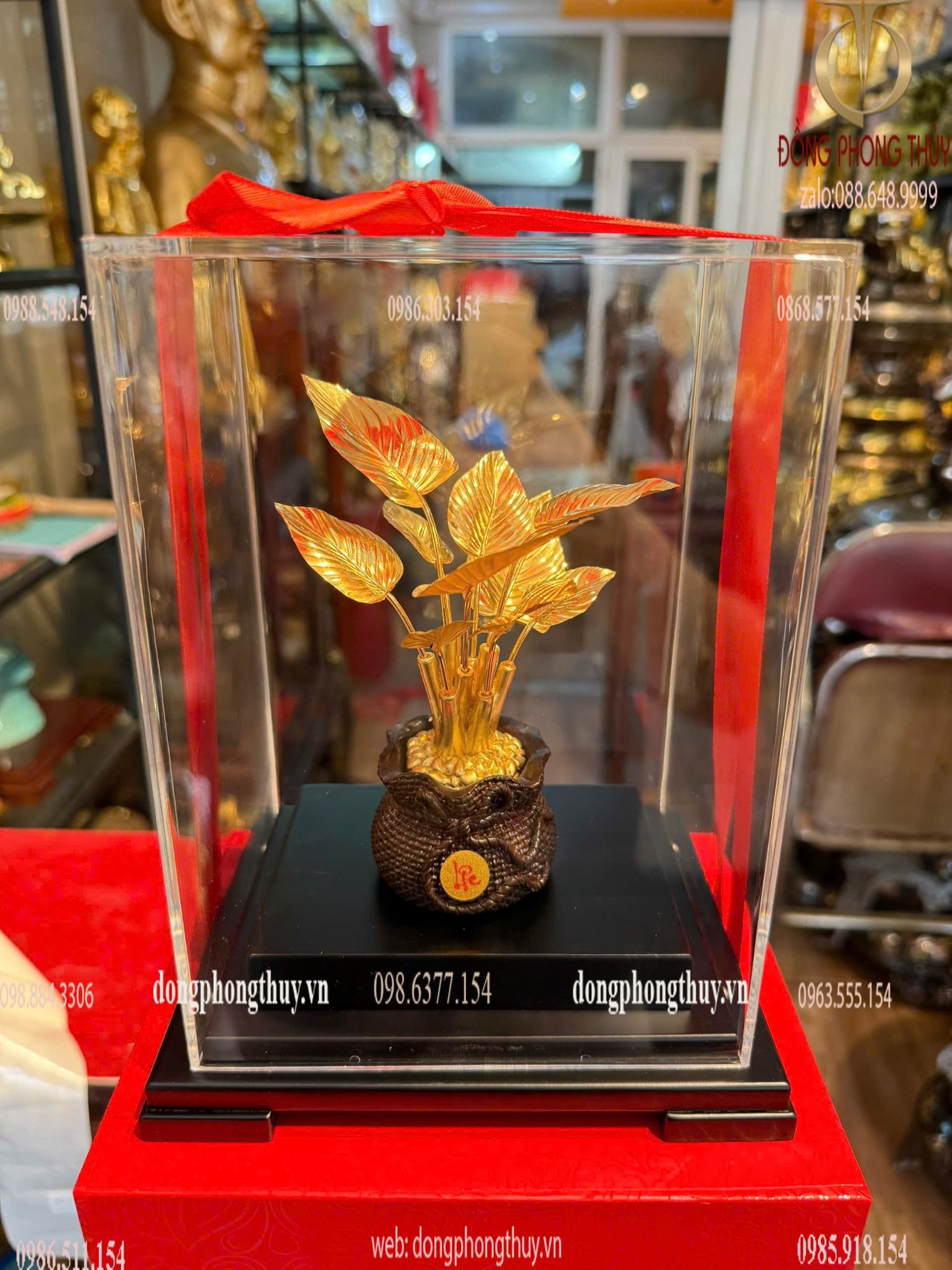 Hình ảnh sản phẩm