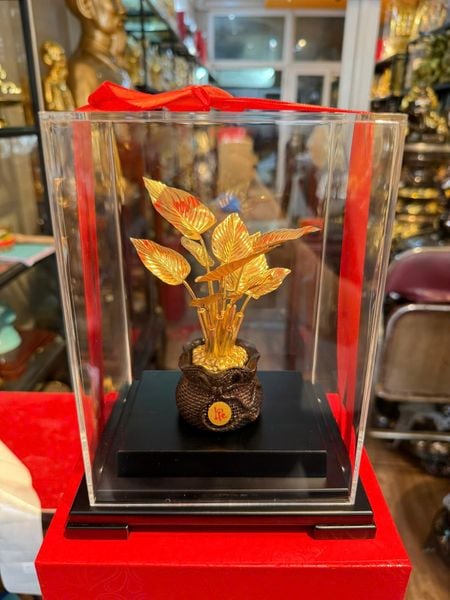 Cây Phú Quý mạ vàng 24k 17x13,5x22cm