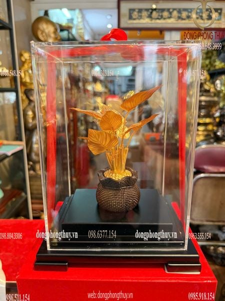 Cây Phú Quý mạ vàng 24k 17x13,5x22cm