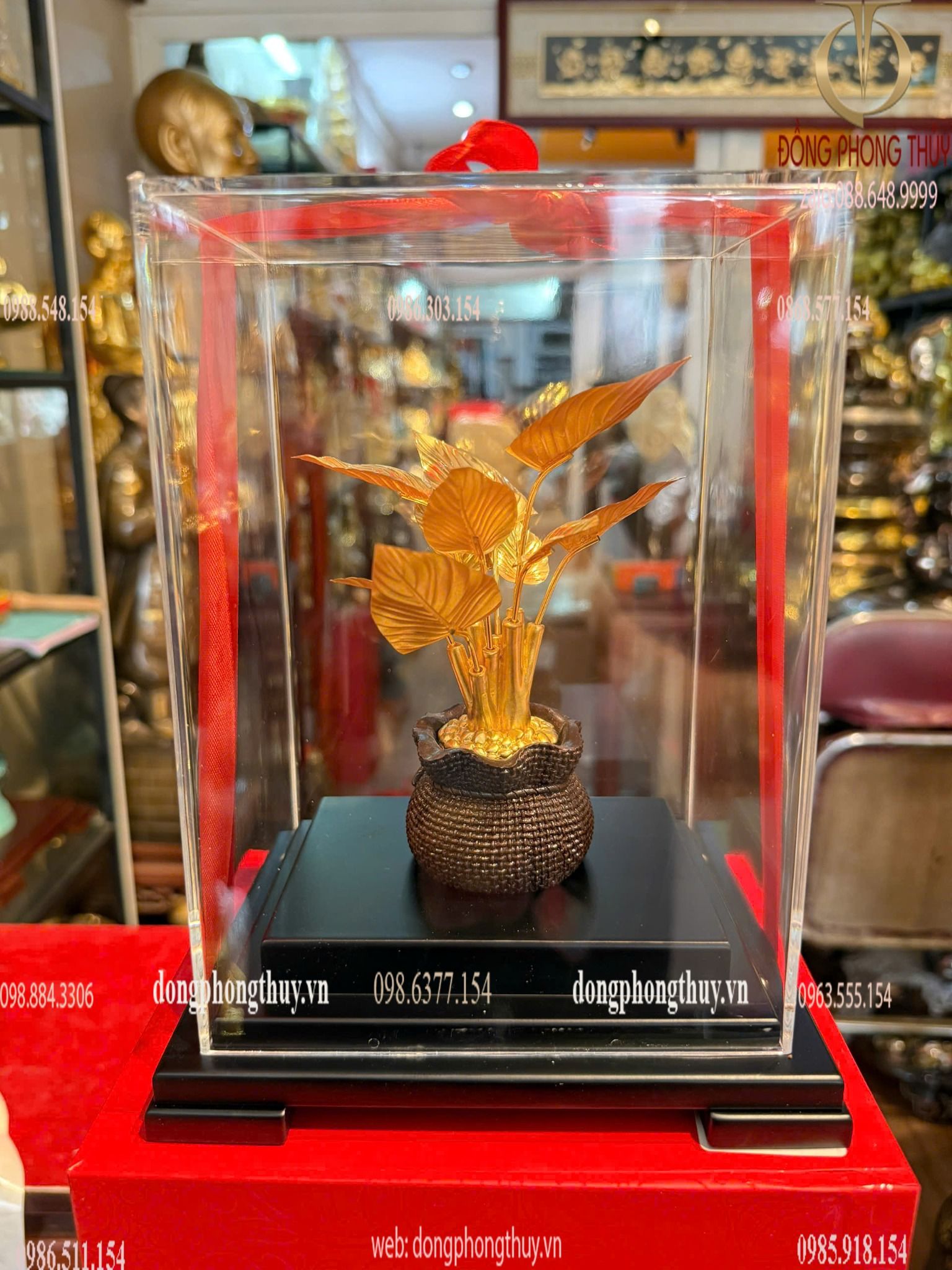 Hình ảnh sản phẩm