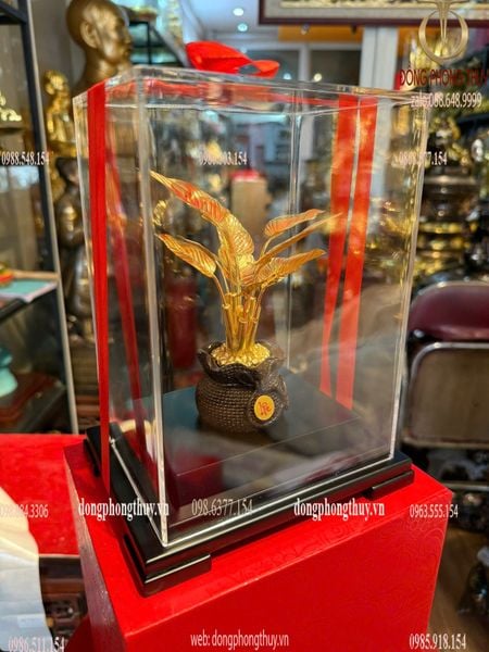 Cây Phú Quý mạ vàng 24k 17x13,5x22cm
