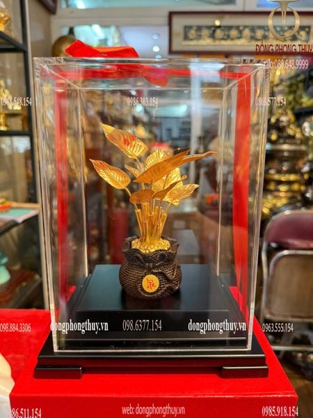 Cây Phú Quý mạ vàng 24k 17x13,5x22cm
