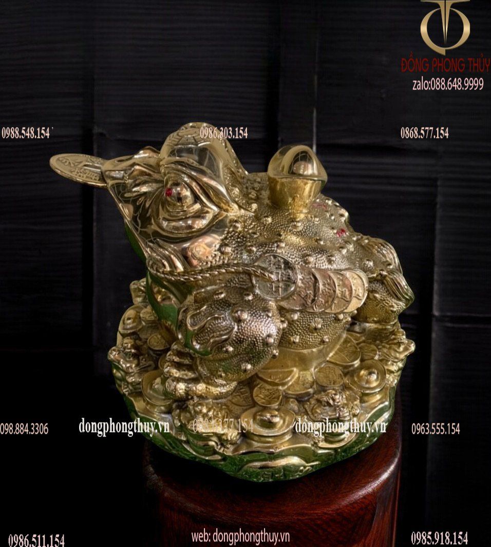 Hình ảnh sản phẩm