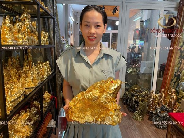 Thiềm Thừ - Cóc Ngậm Tiền Dát vàng 24k Cao 25cm