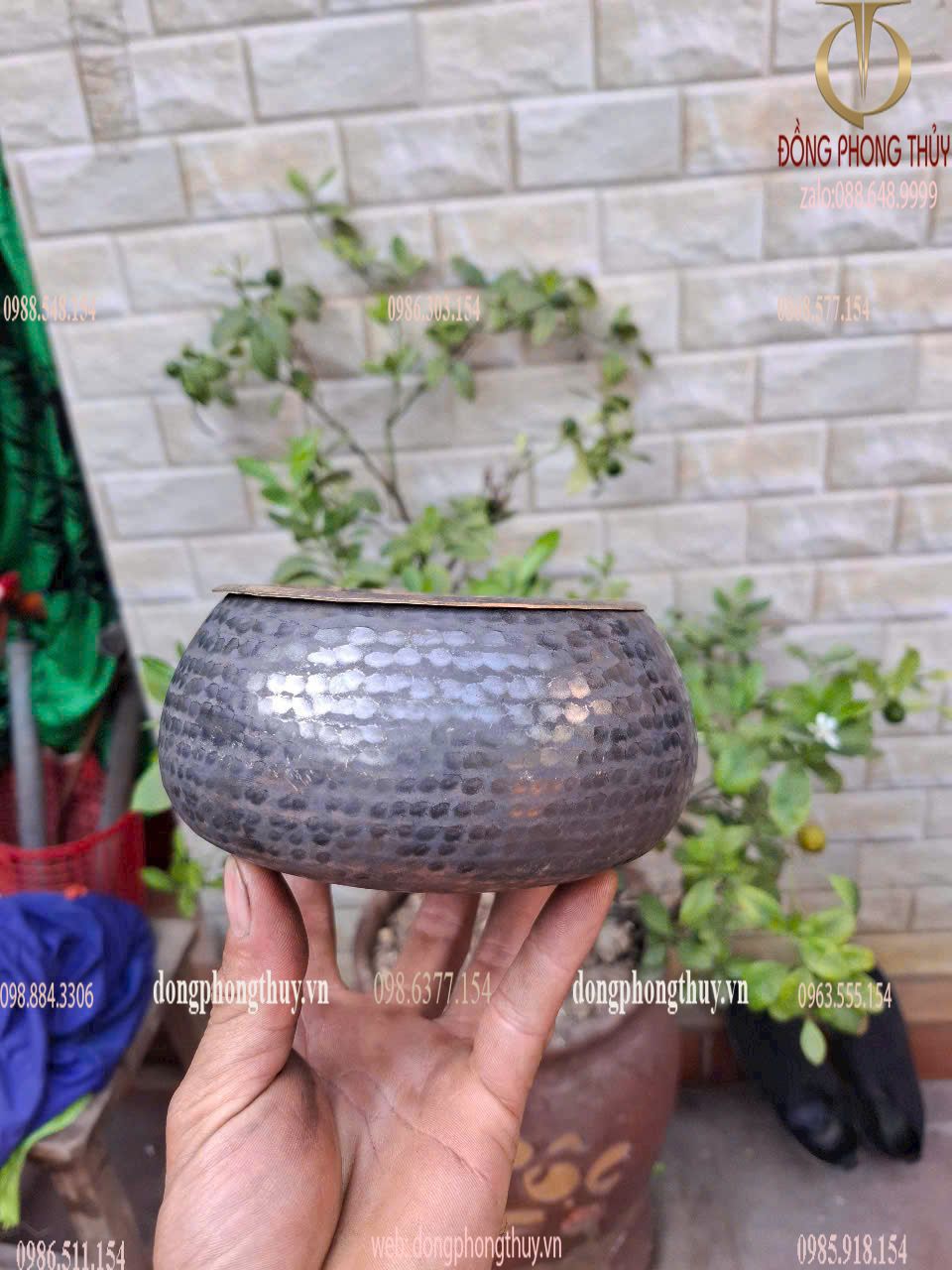 Hình ảnh sản phẩm