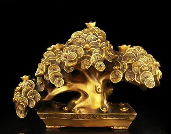 Cây kim tiền phát tài, phát lộc Cao 30,5 ngang 42,5 nặng 8kg