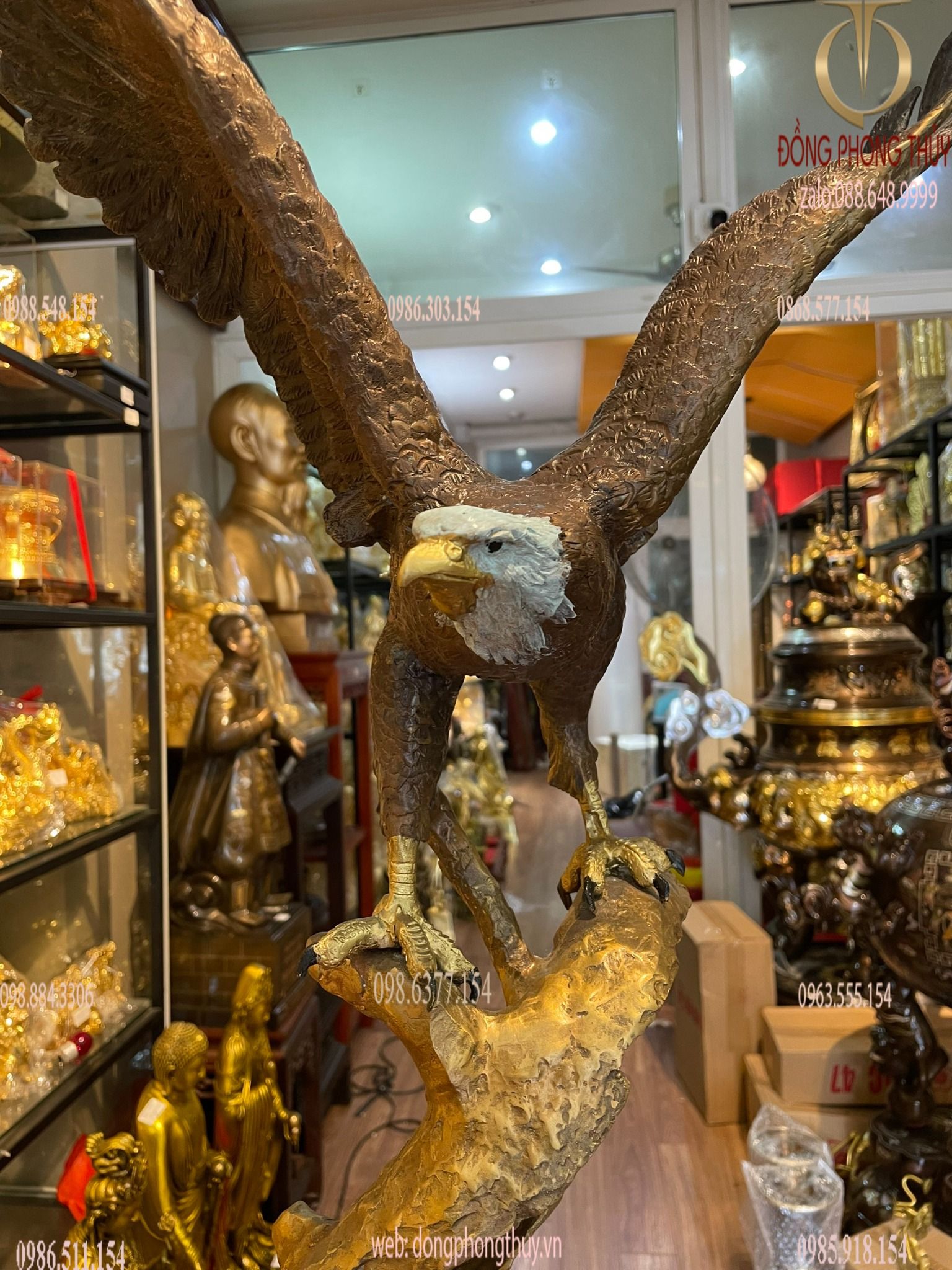 Hình ảnh sản phẩm
