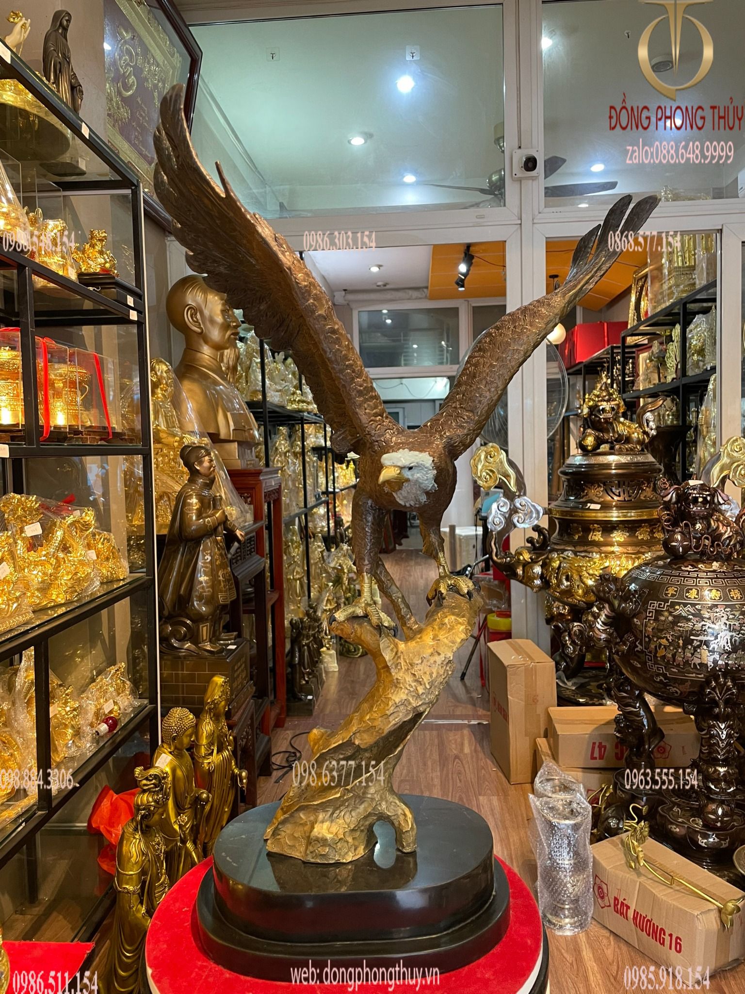 Hình ảnh sản phẩm