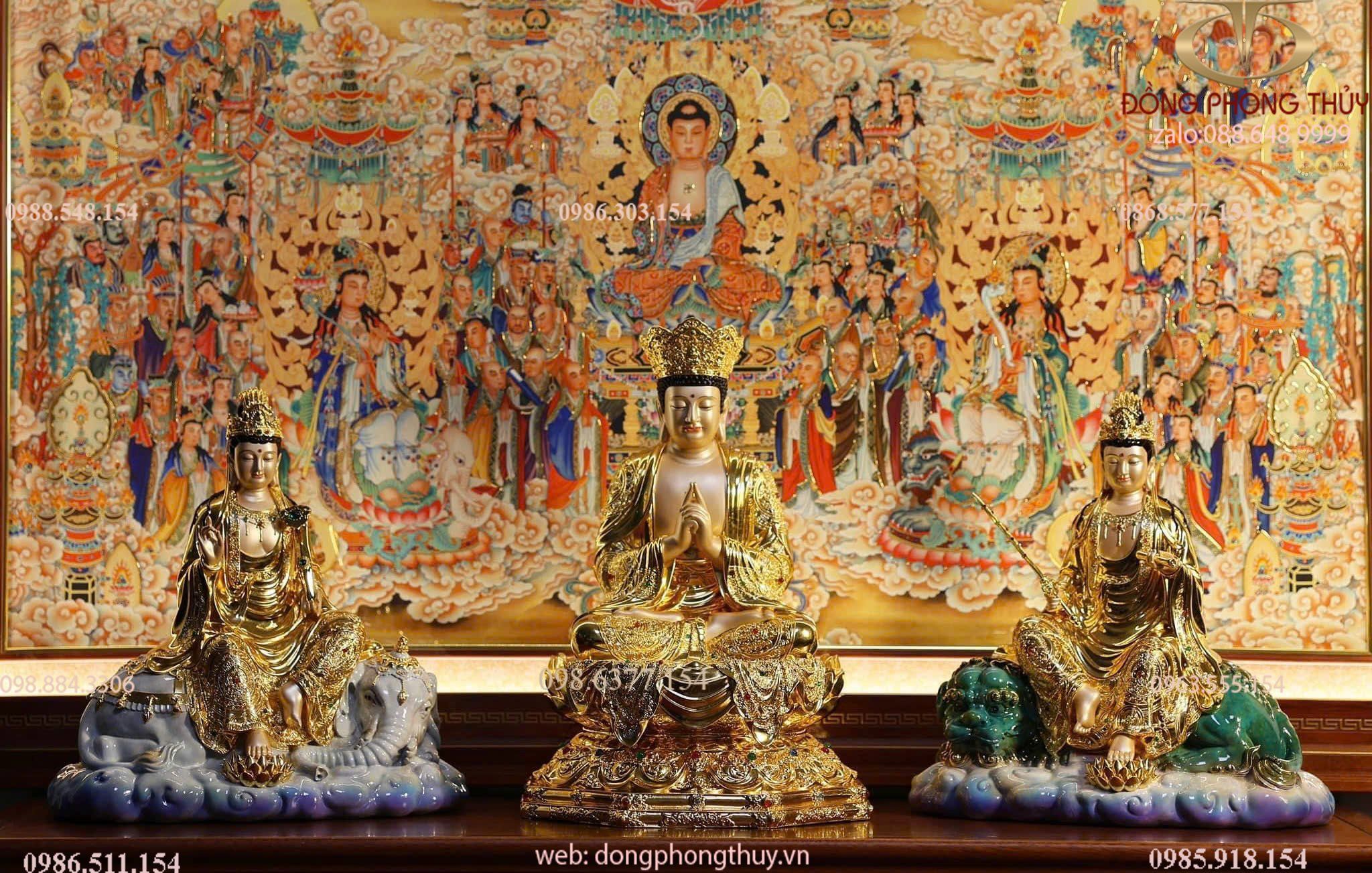 Hình ảnh sản phẩm