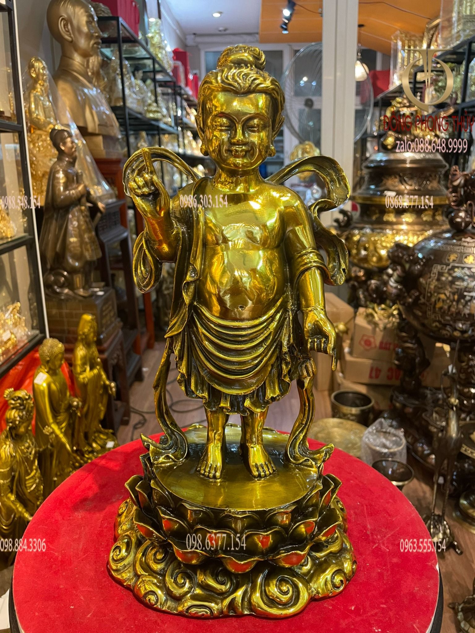 Hình ảnh sản phẩm