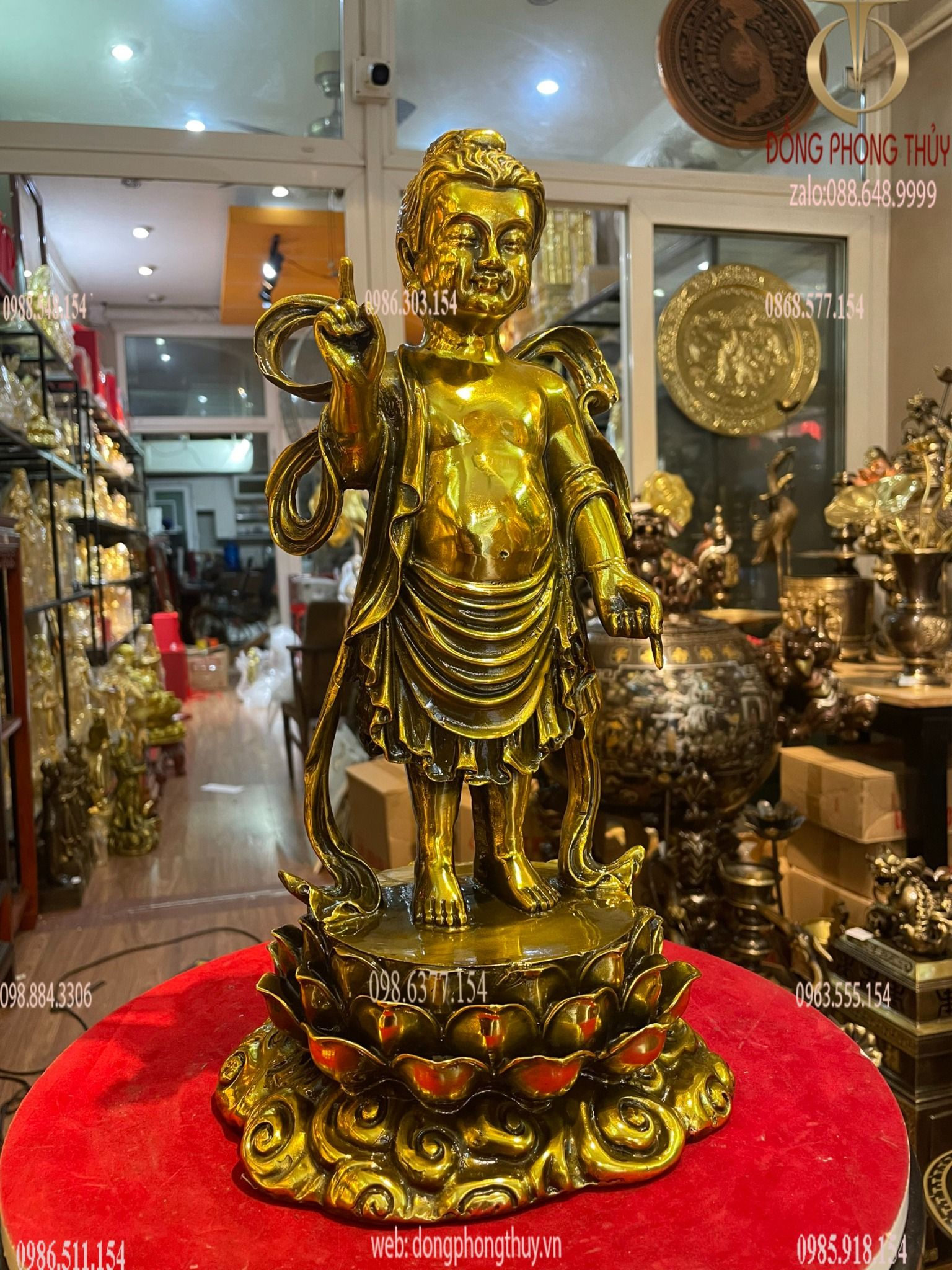Hình ảnh sản phẩm