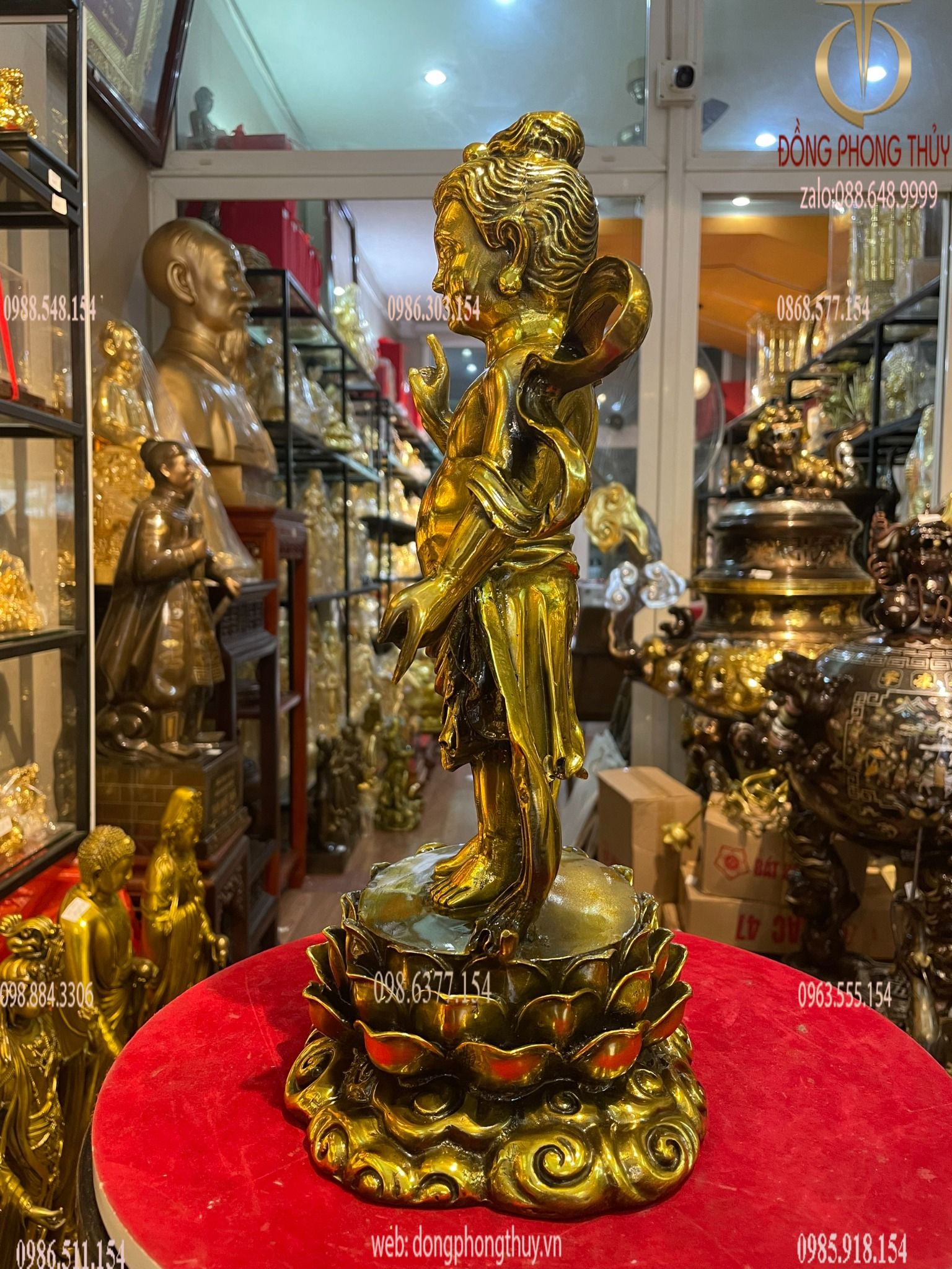 Hình ảnh sản phẩm