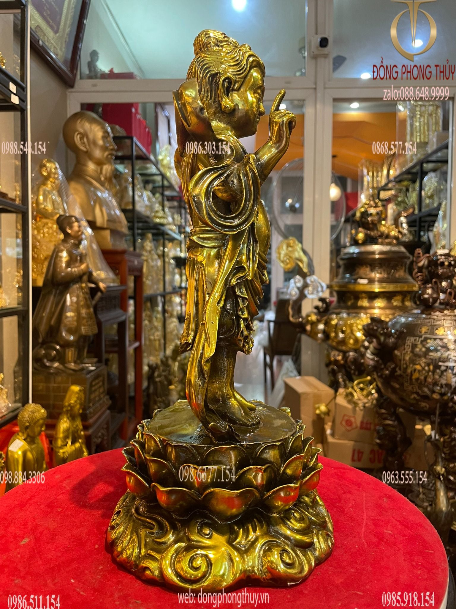 Hình ảnh sản phẩm