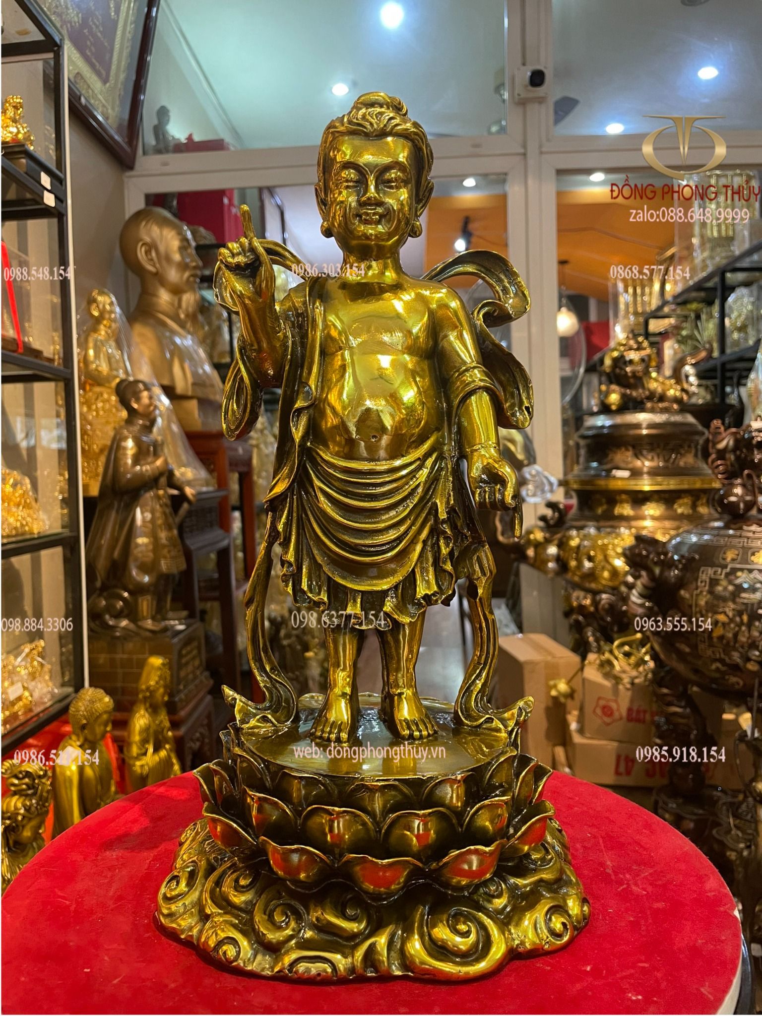 Hình ảnh sản phẩm