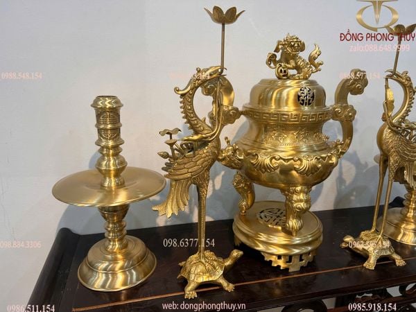 Ngũ sự cát tút hoa sòi cao 60cm nặng 26,1kg