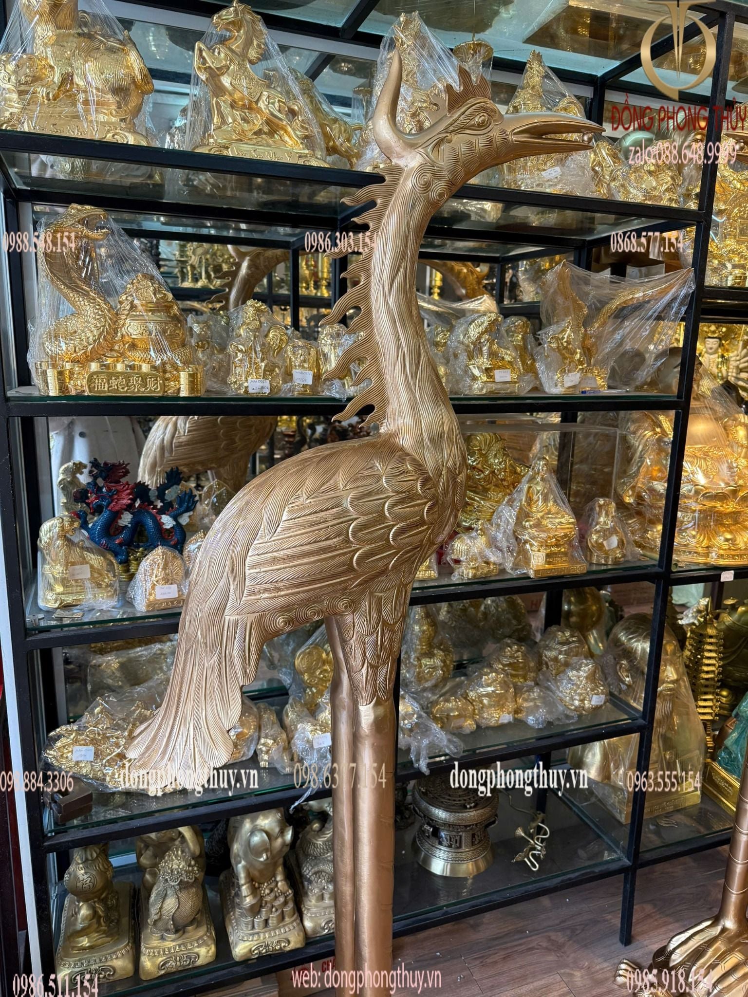 Hình ảnh sản phẩm