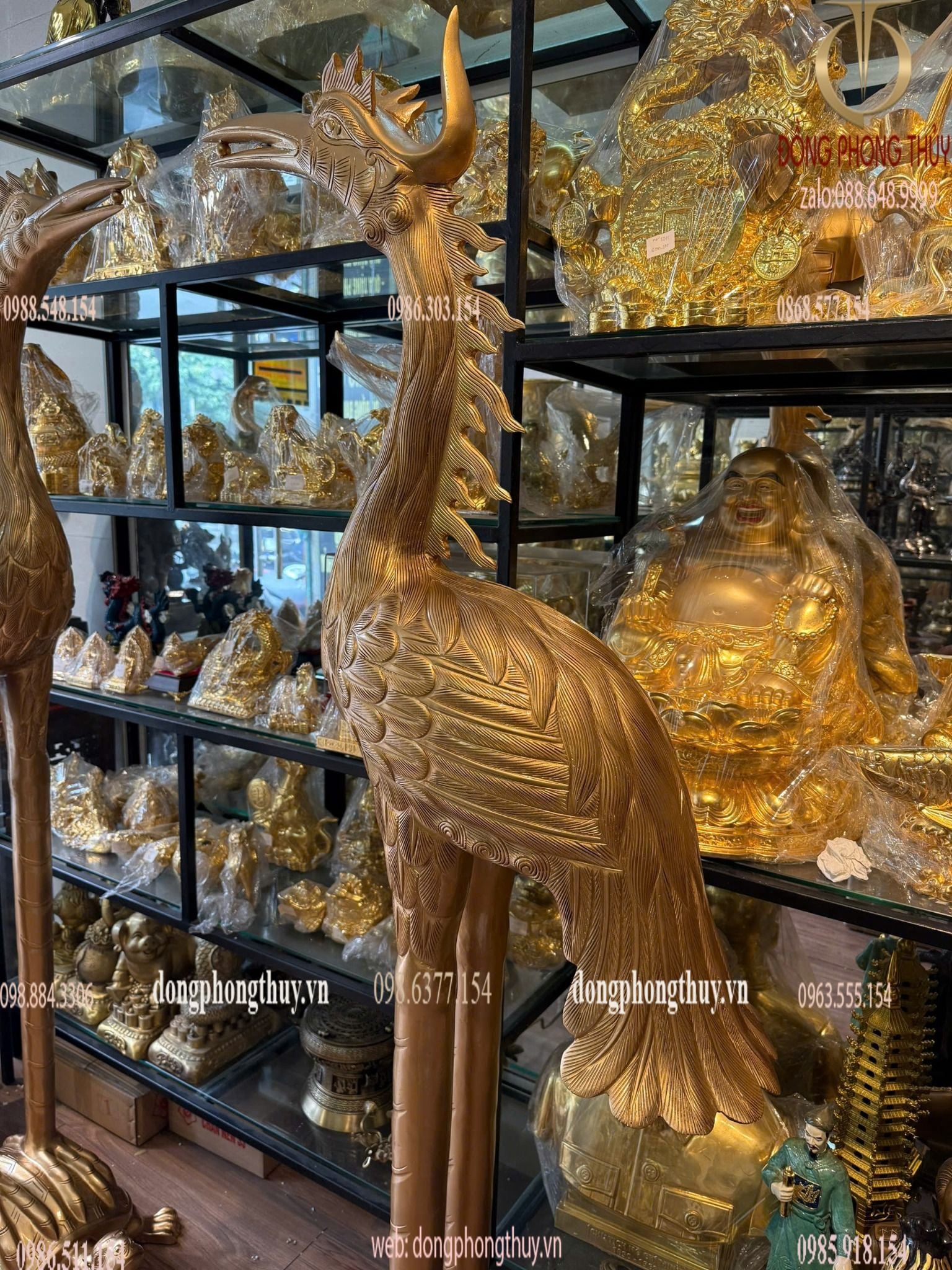 Hình ảnh sản phẩm