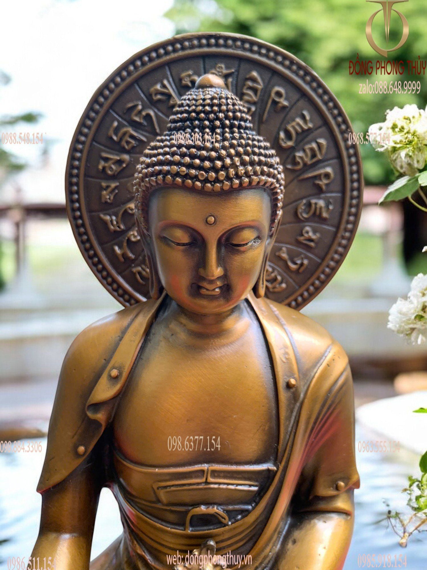 Hình ảnh sản phẩm