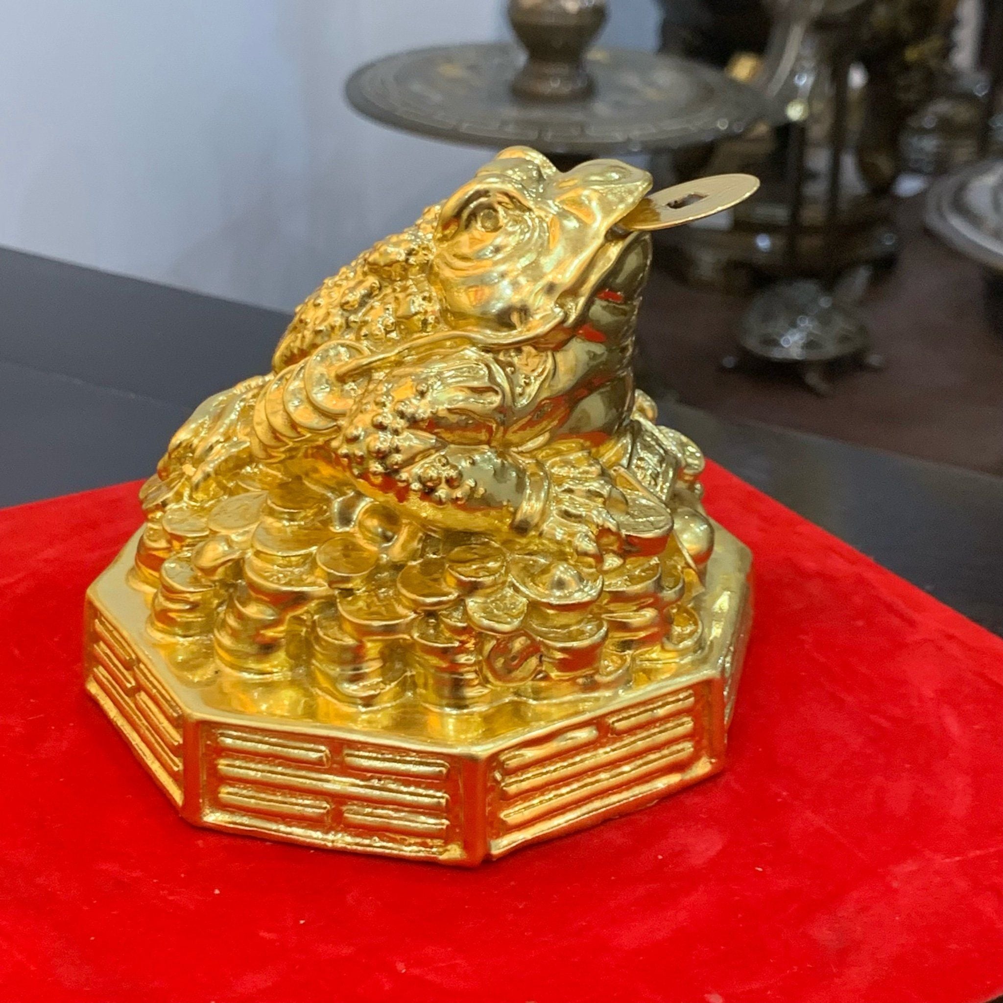 Hình ảnh sản phẩm