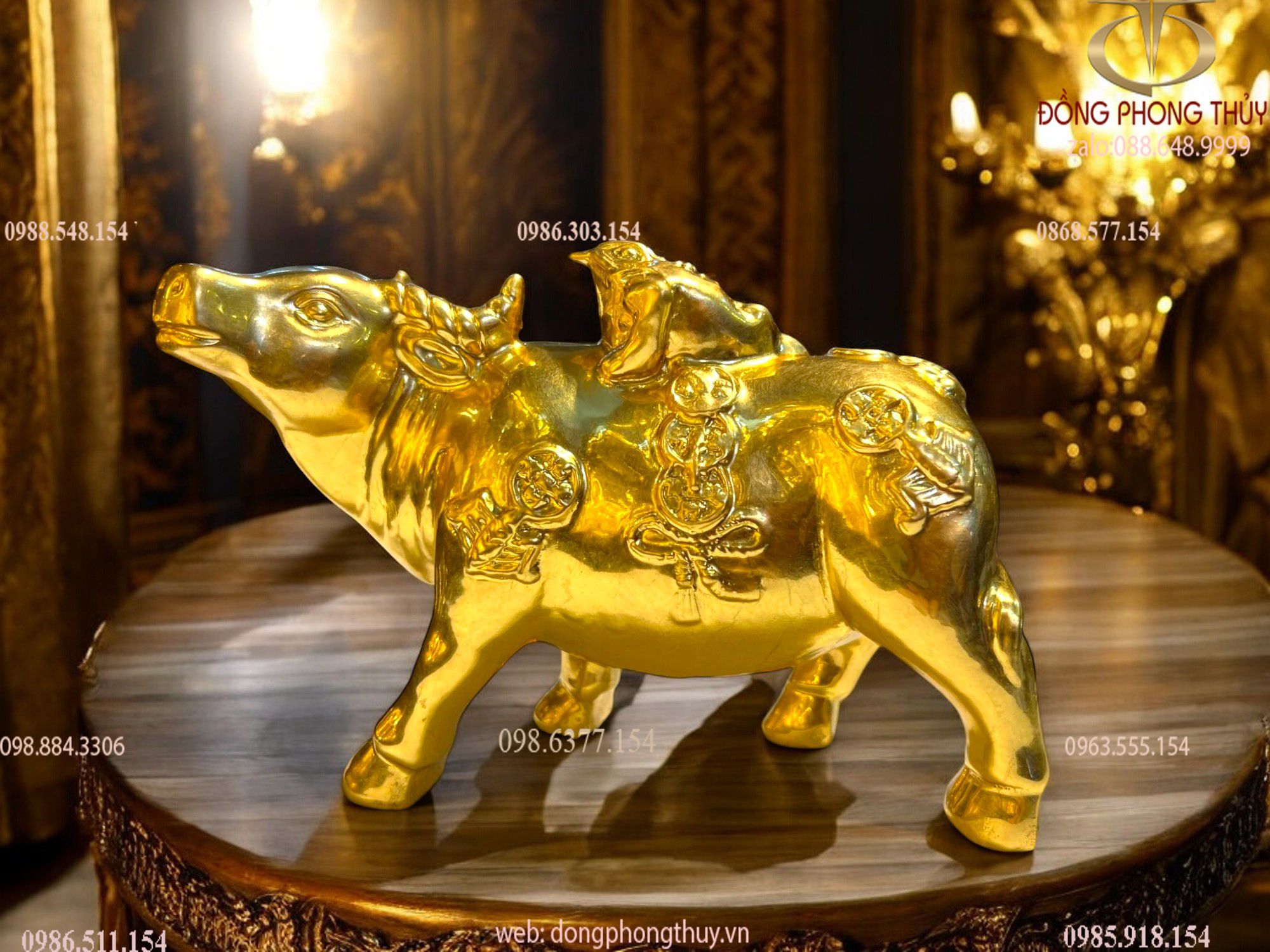 Hình ảnh sản phẩm