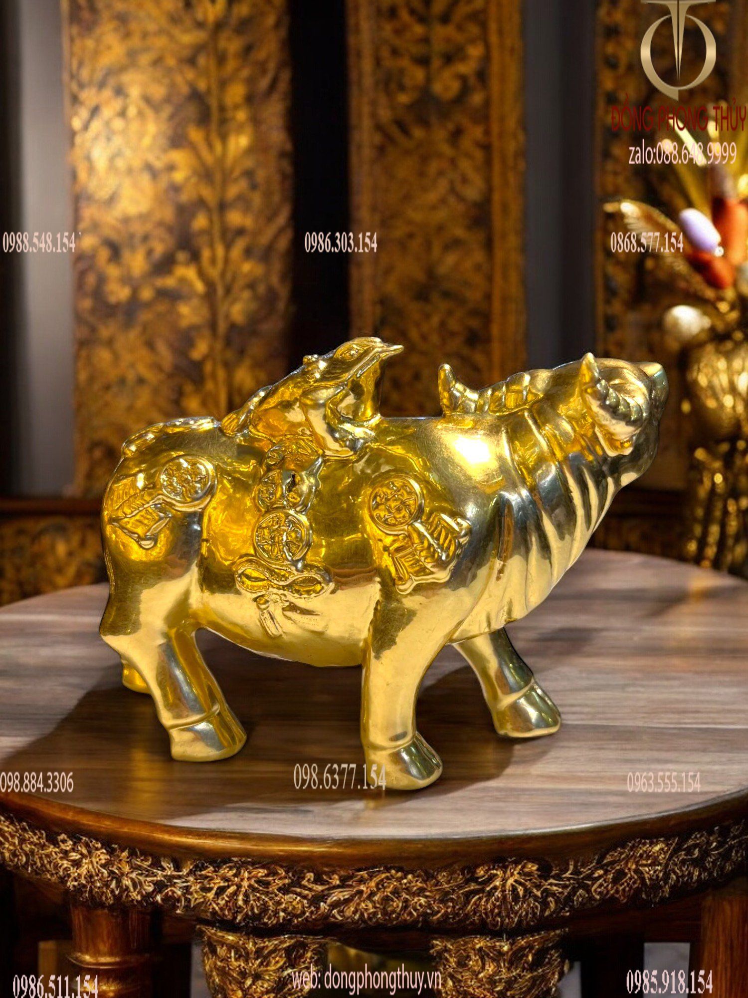 Hình ảnh sản phẩm