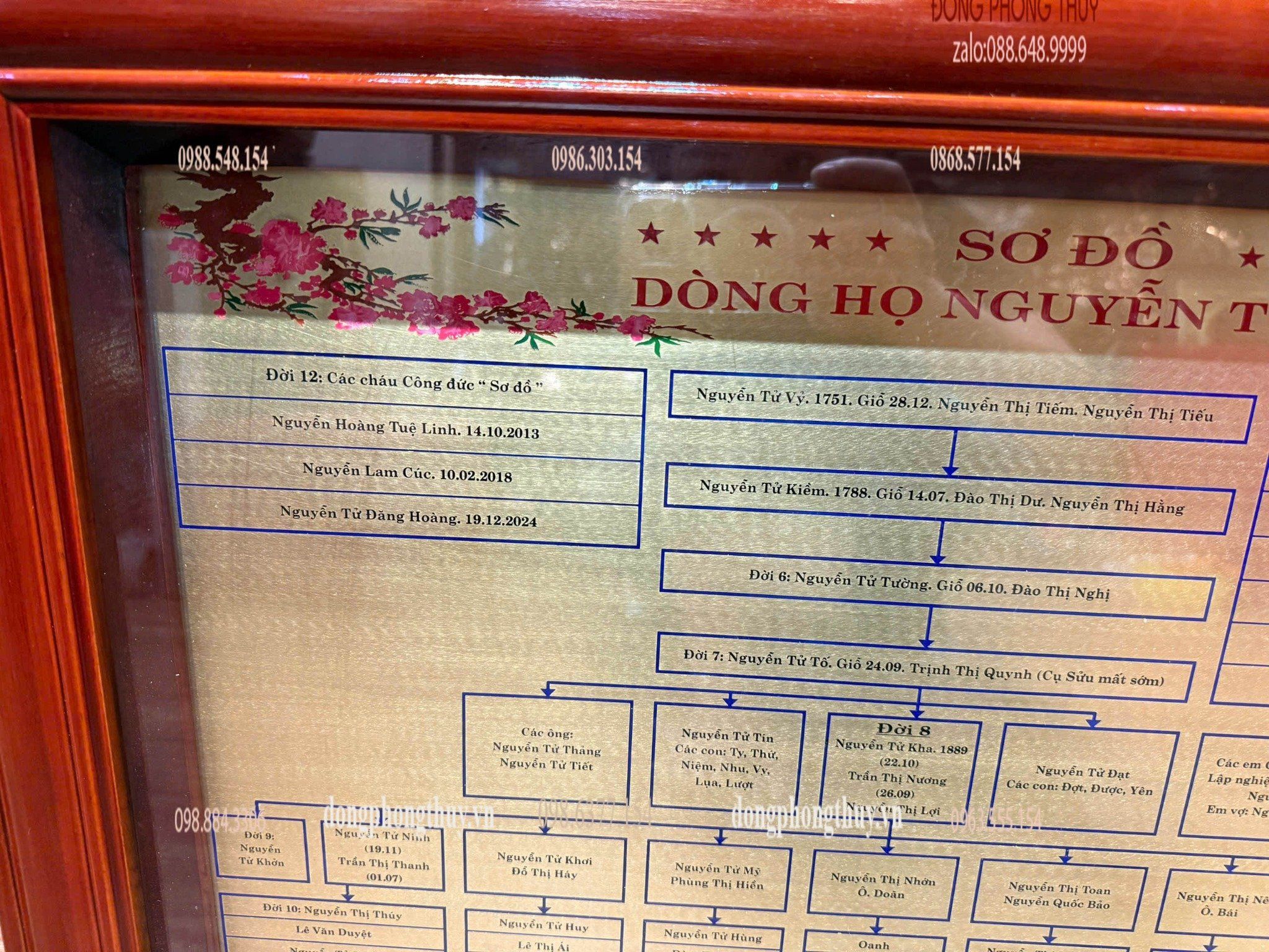 Gia phả dòng họ