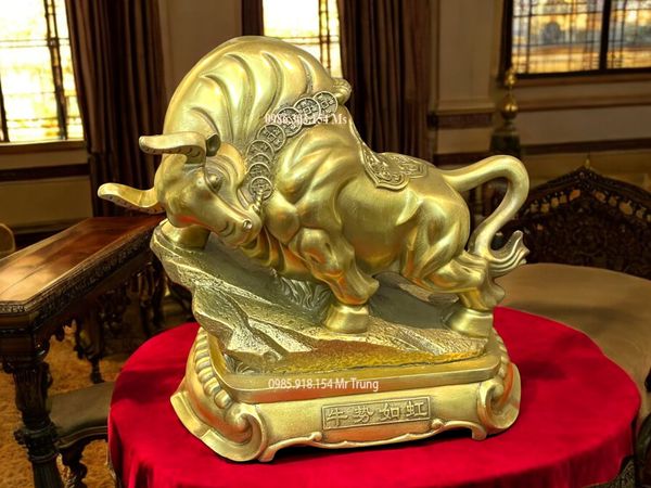 Tượng trâu vàng phong thủy chữ Nho cỡ lớn cao 26cm