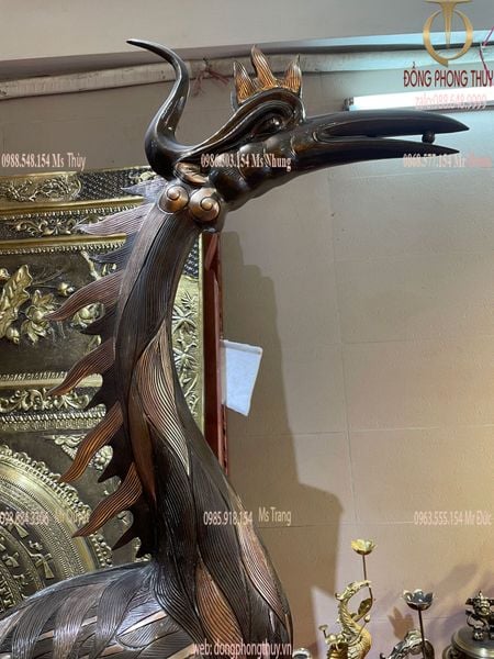 Hạc đồng 2m15