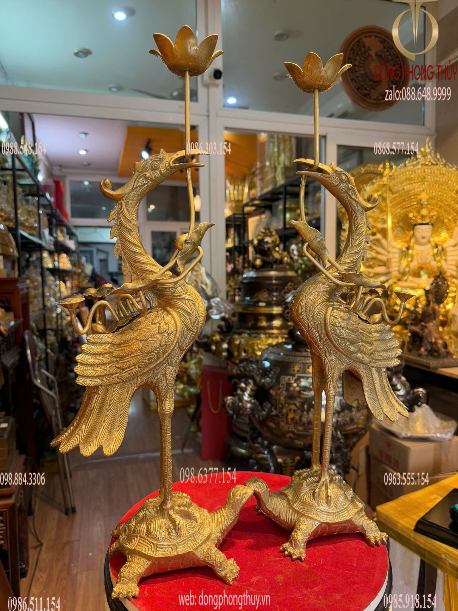 Hình ảnh sản phẩm