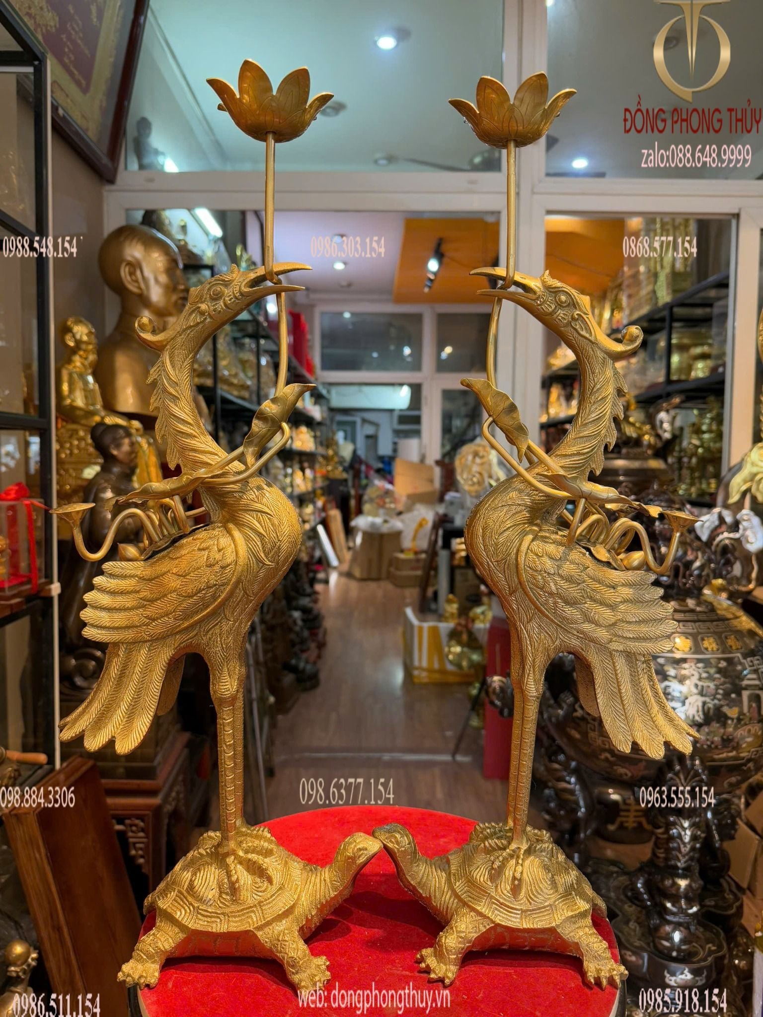 Hình ảnh sản phẩm