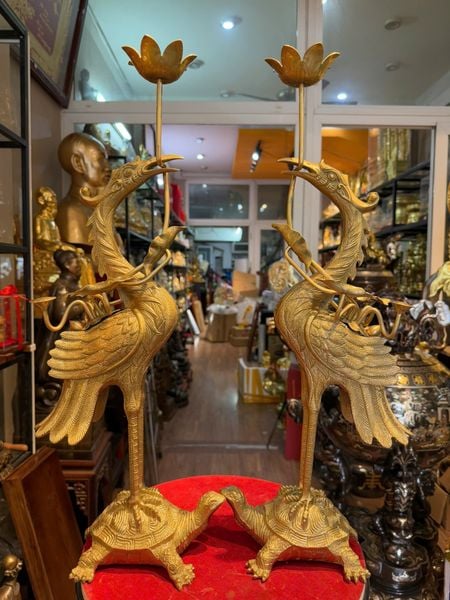 Đôi hạc cát tút