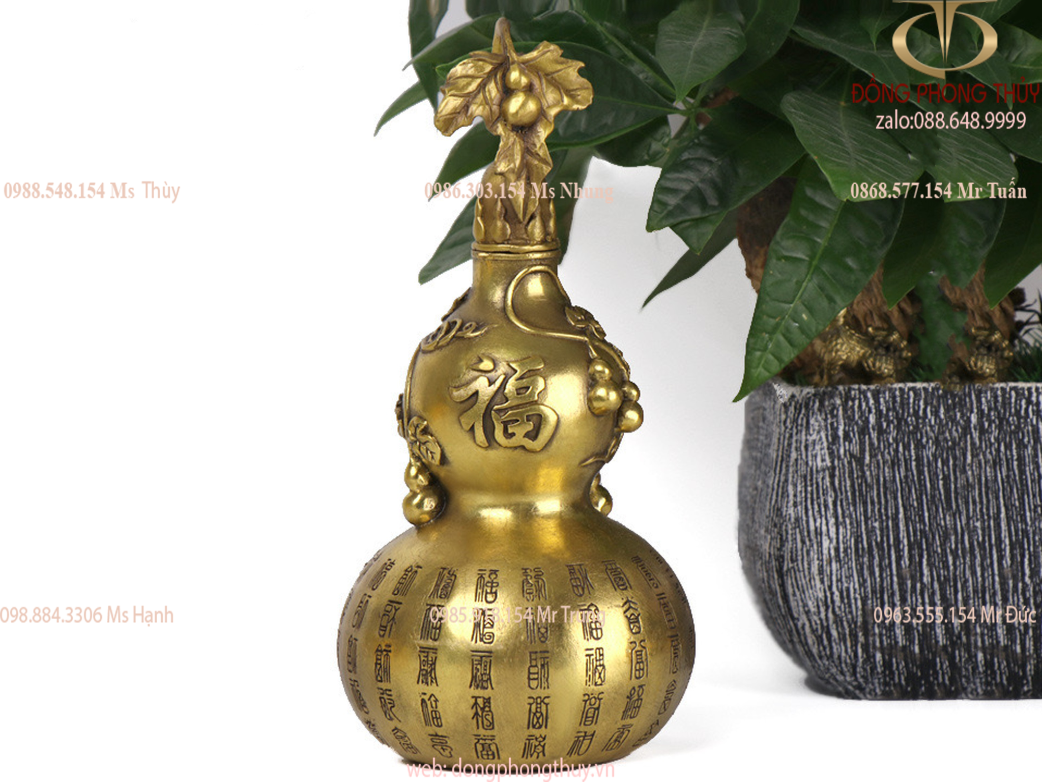 Hình ảnh sản phẩm