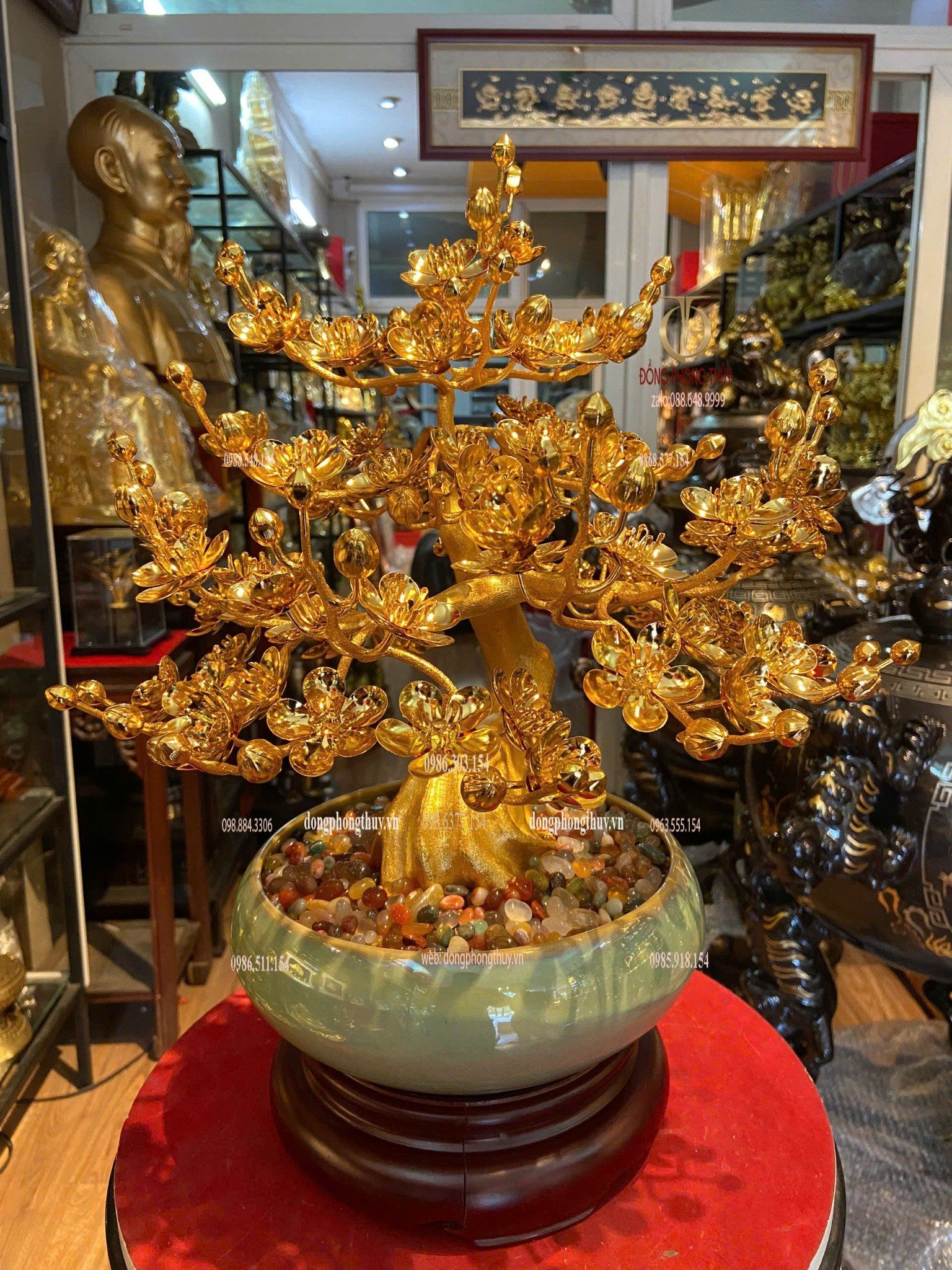 Chậu mai mạ vàng 24k cao 45cm tán rộng 35cm