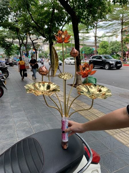 Bó hoa sen đồng 8 cành cao 50cm