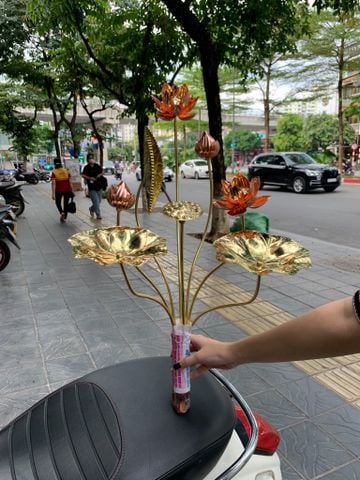 Bó hoa sen đồng 8 cành cao 50cm
