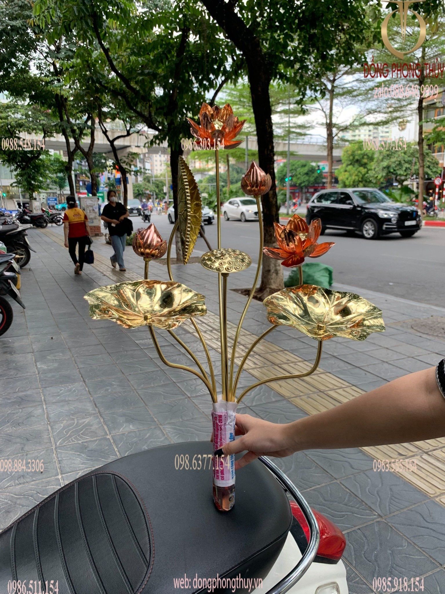 hoa sen bằng đồng