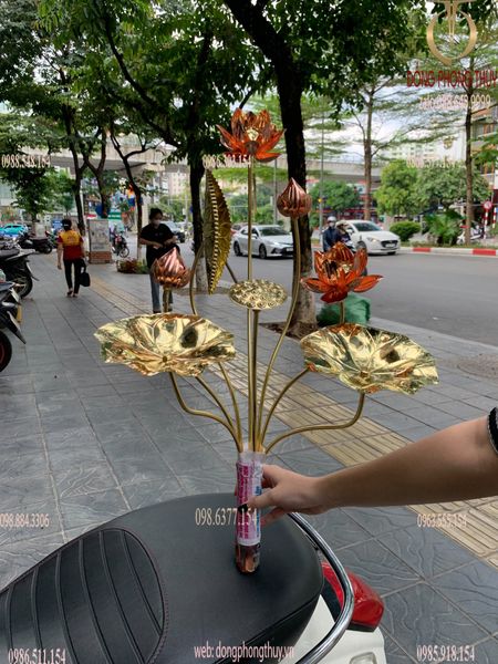 Bó hoa sen đồng 8 cành cao 50cm