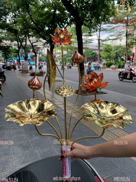 Bó hoa sen đồng 8 cành cao 50cm