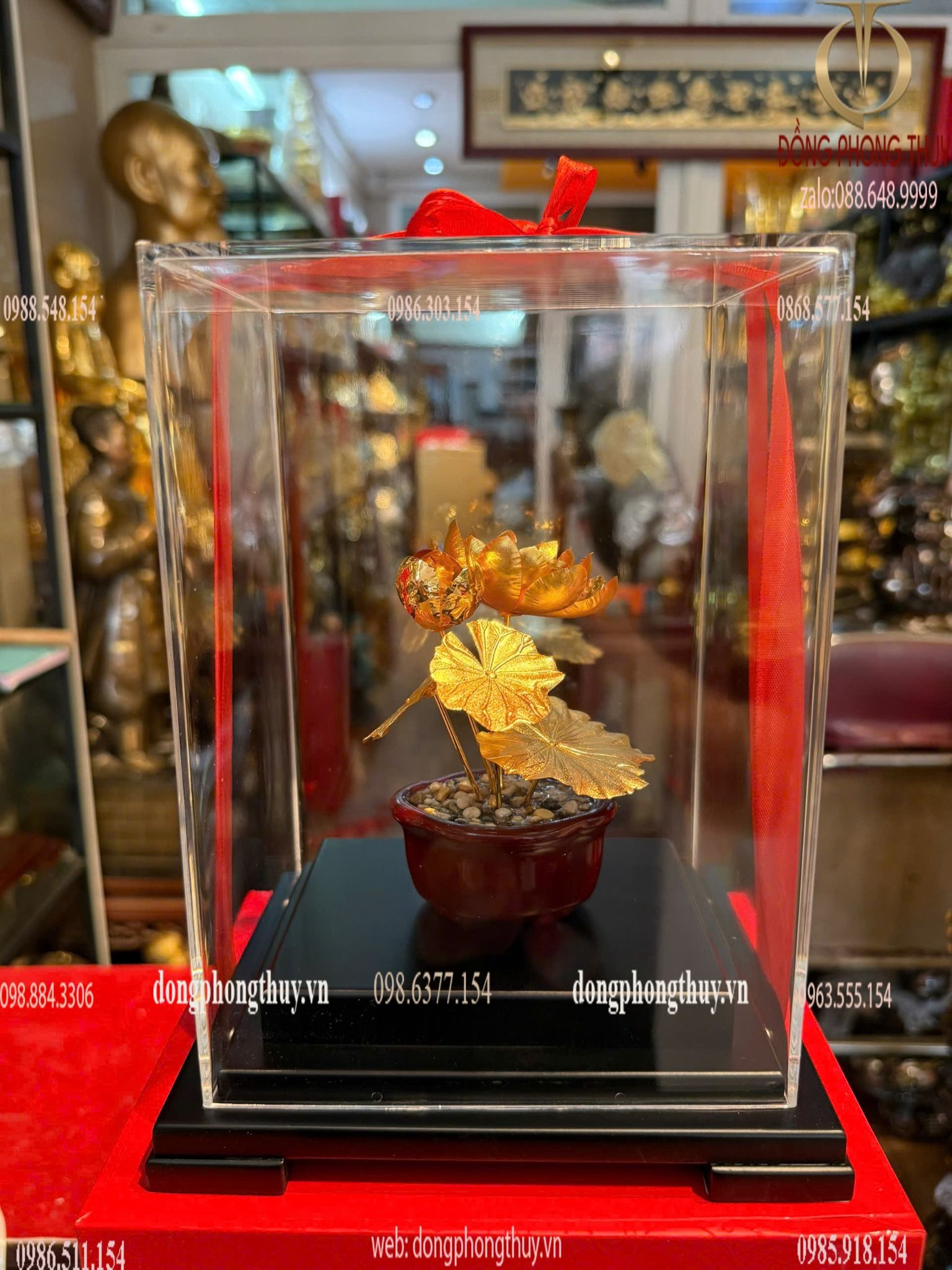 Hình ảnh sản phẩm